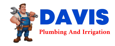 Trusted plumber in HANKSVILLE